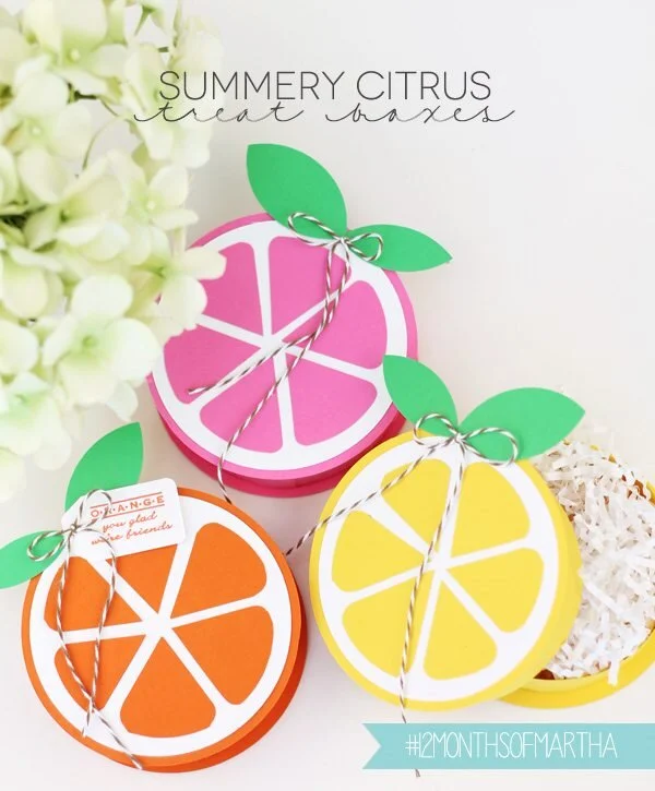 Summery Citrus Treat Boxes