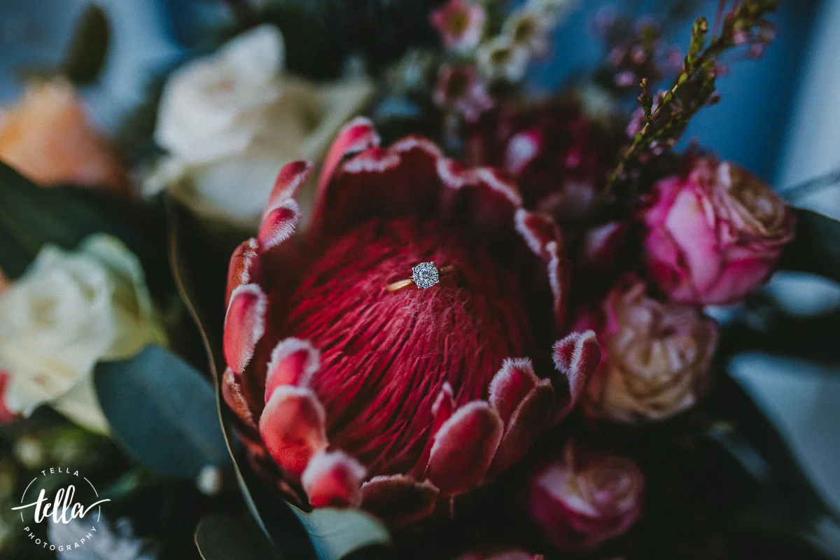 _D4_5572.jpg