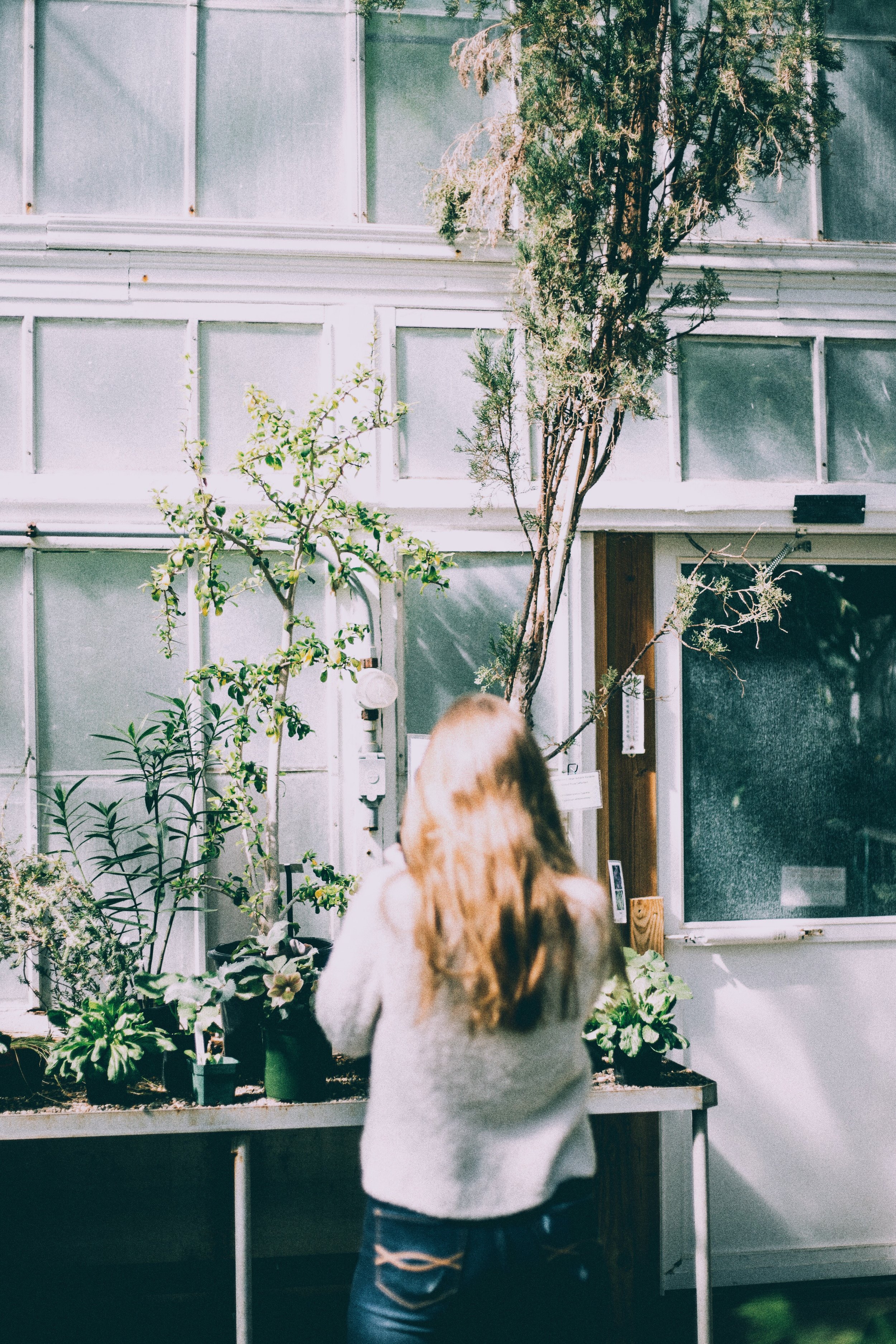 Joanna (Wellesley, MA)