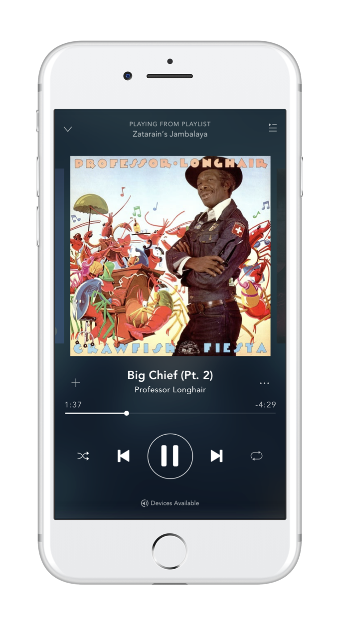 Spotify 3.png