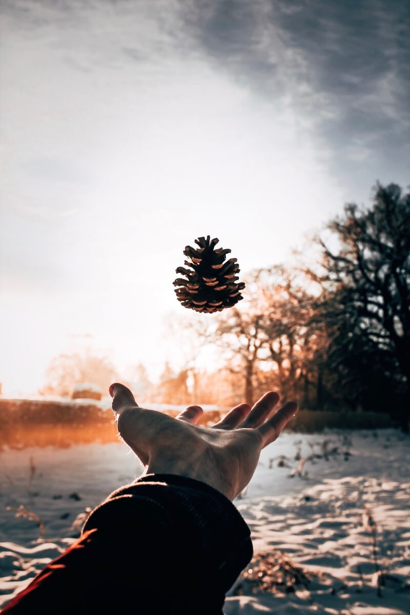 13E7E9C5-85A8-48B7-9229-B4C755566A55.jpeg