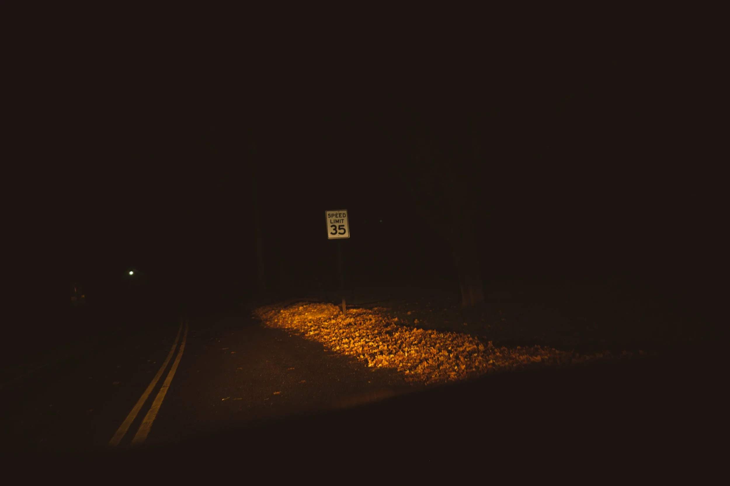SquareSpace-48.jpg
