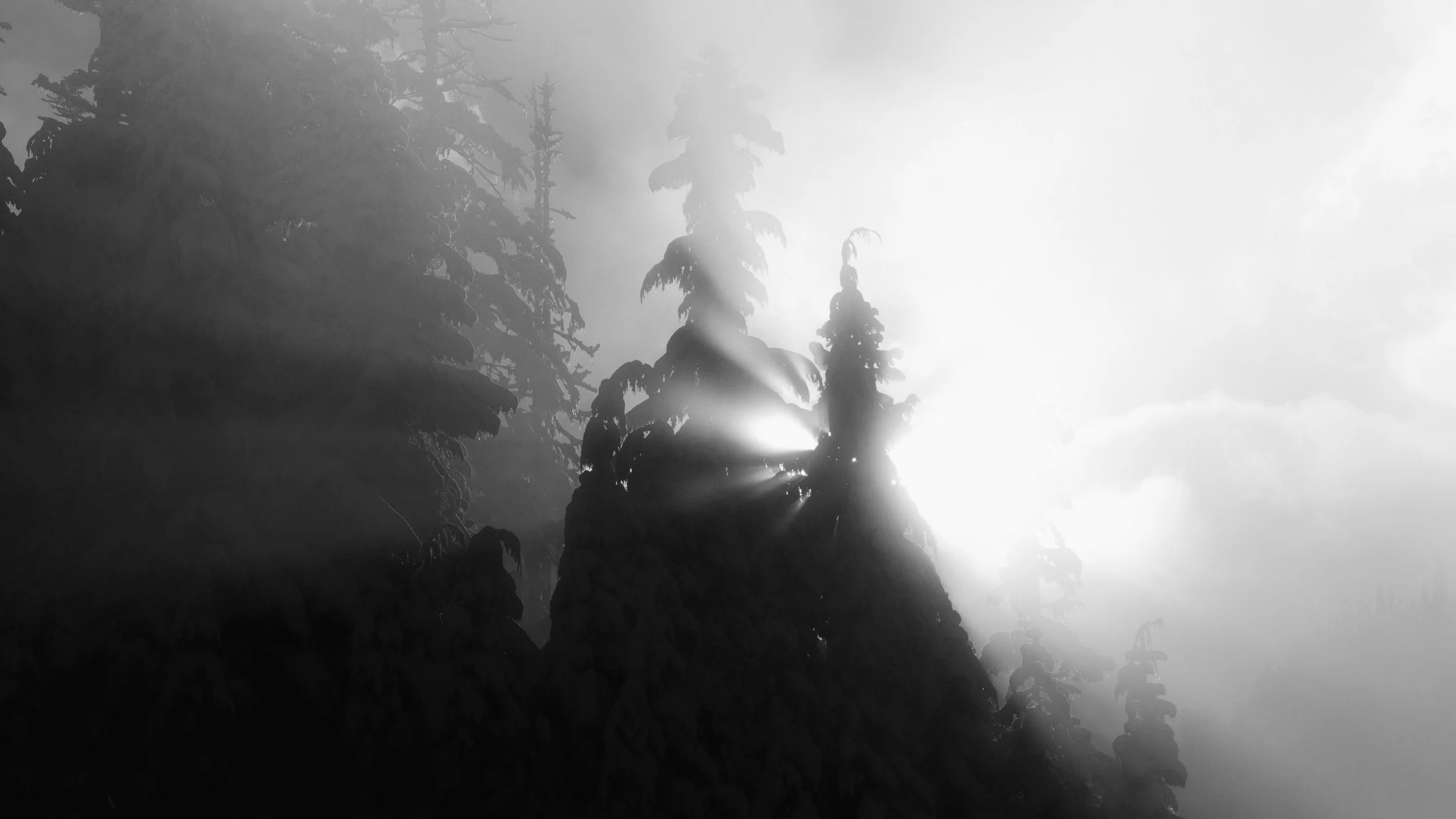 Image 11-21-24 at 9.05 PM.JPG