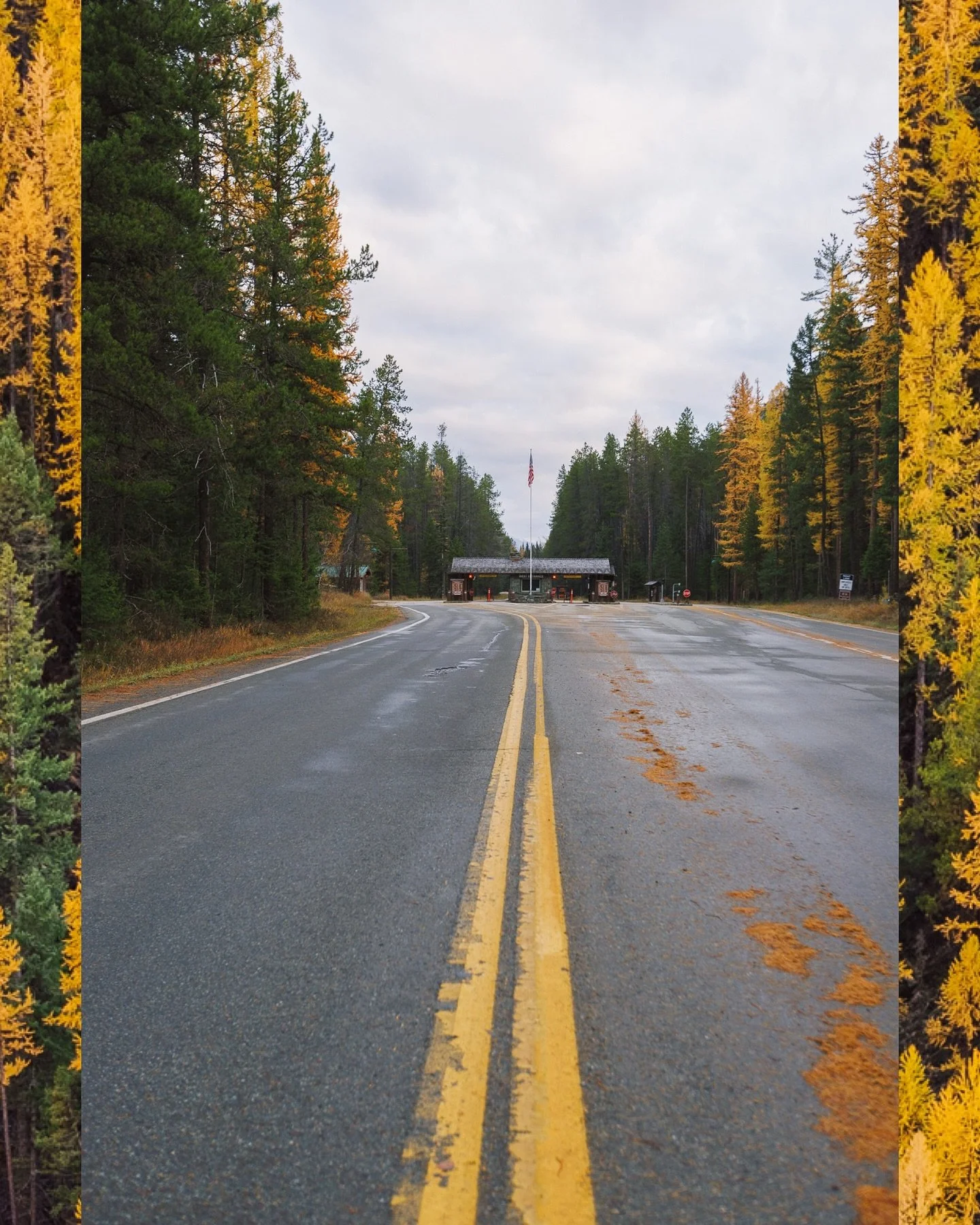 Chasing larch madness around the valley never disappoints. A perk of having a 5 month old who is sometimes up in the very early hours of the day, you catch sunrise in @glaciernps