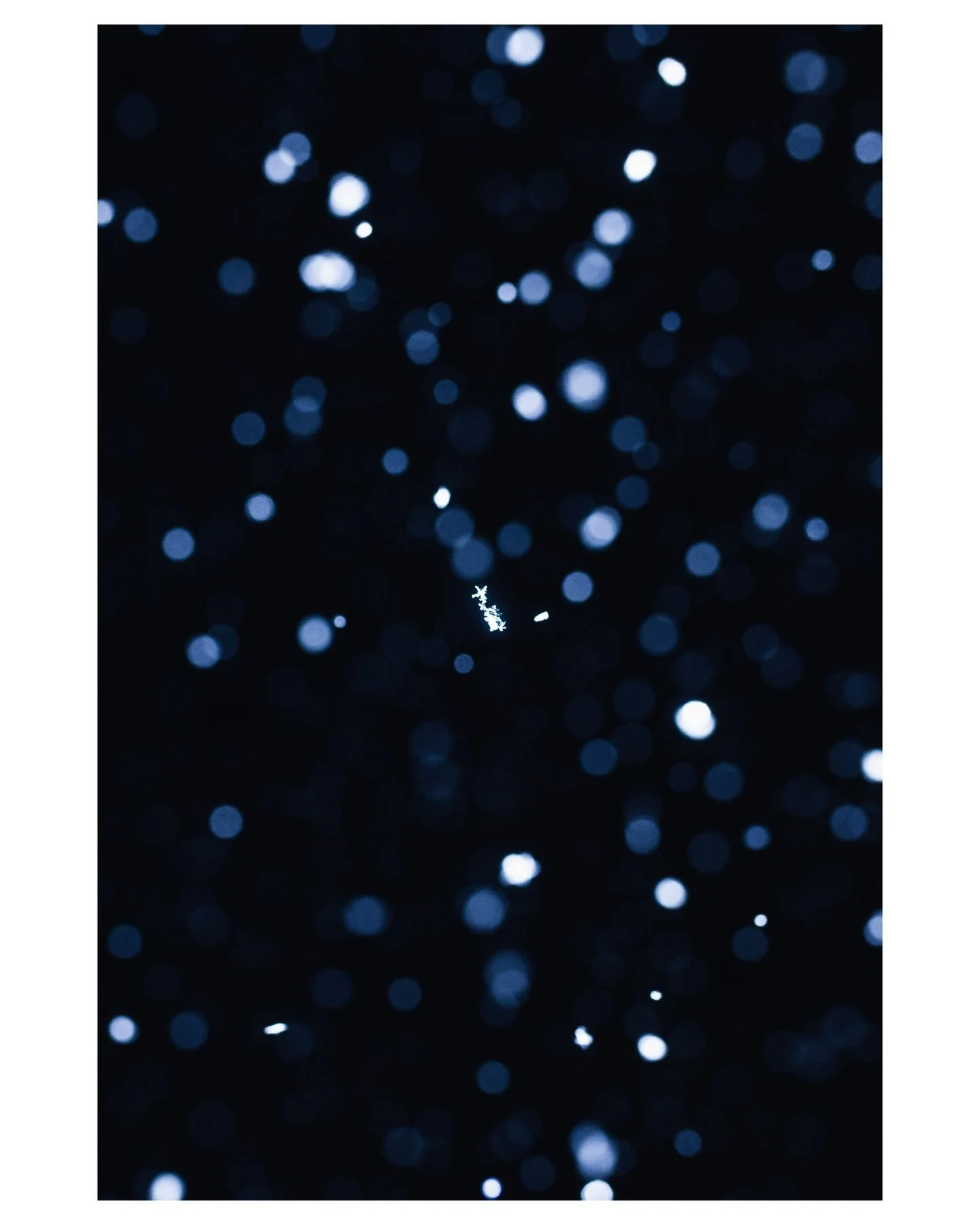 This made me happy to leave the shop to. In the famous words of @shred_butt, we needed this. 

Who wants to shoot some riding this winter?