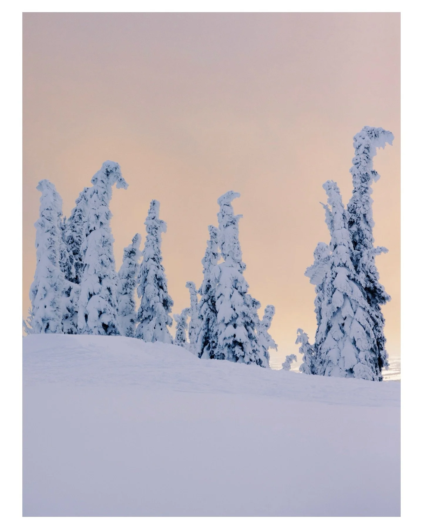 Here&rsquo;s to carrying a camera more, and to chasing this dream again.