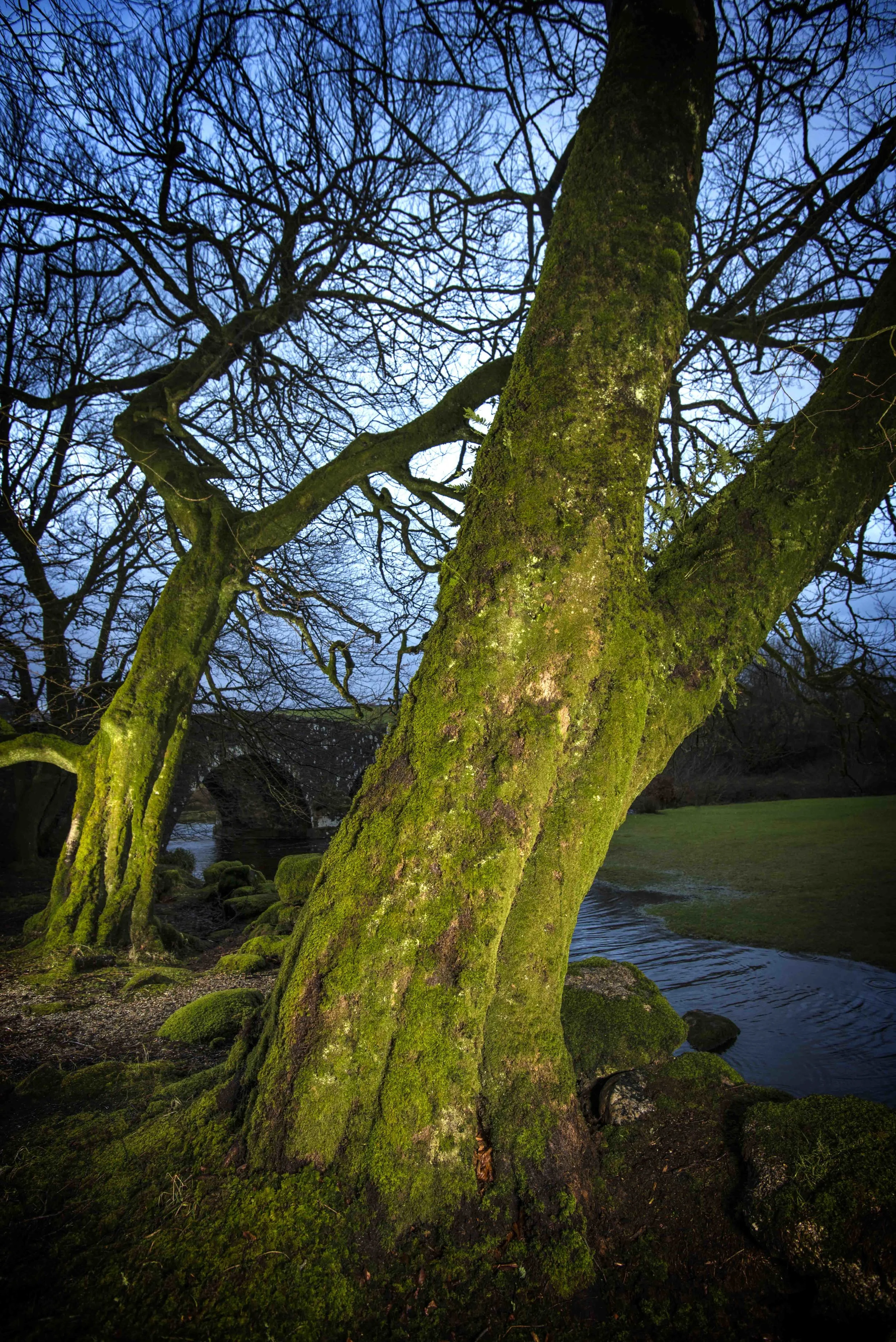 Two Bridges