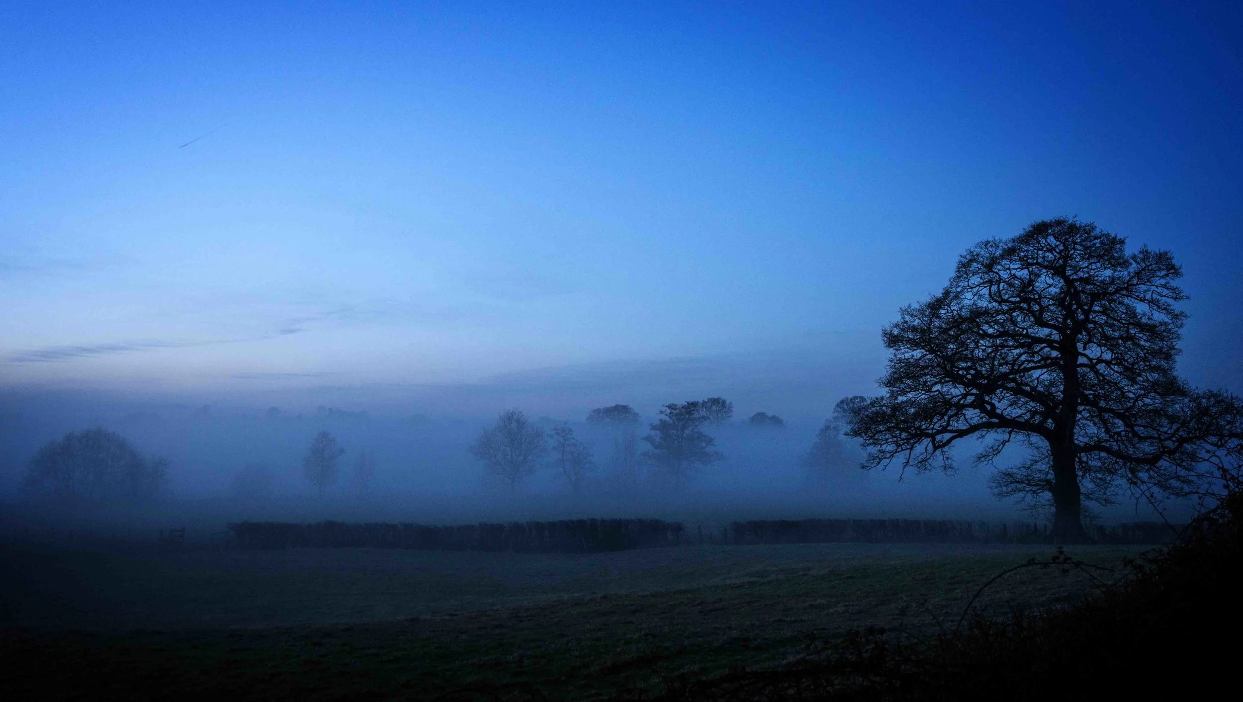 Forest of Dean