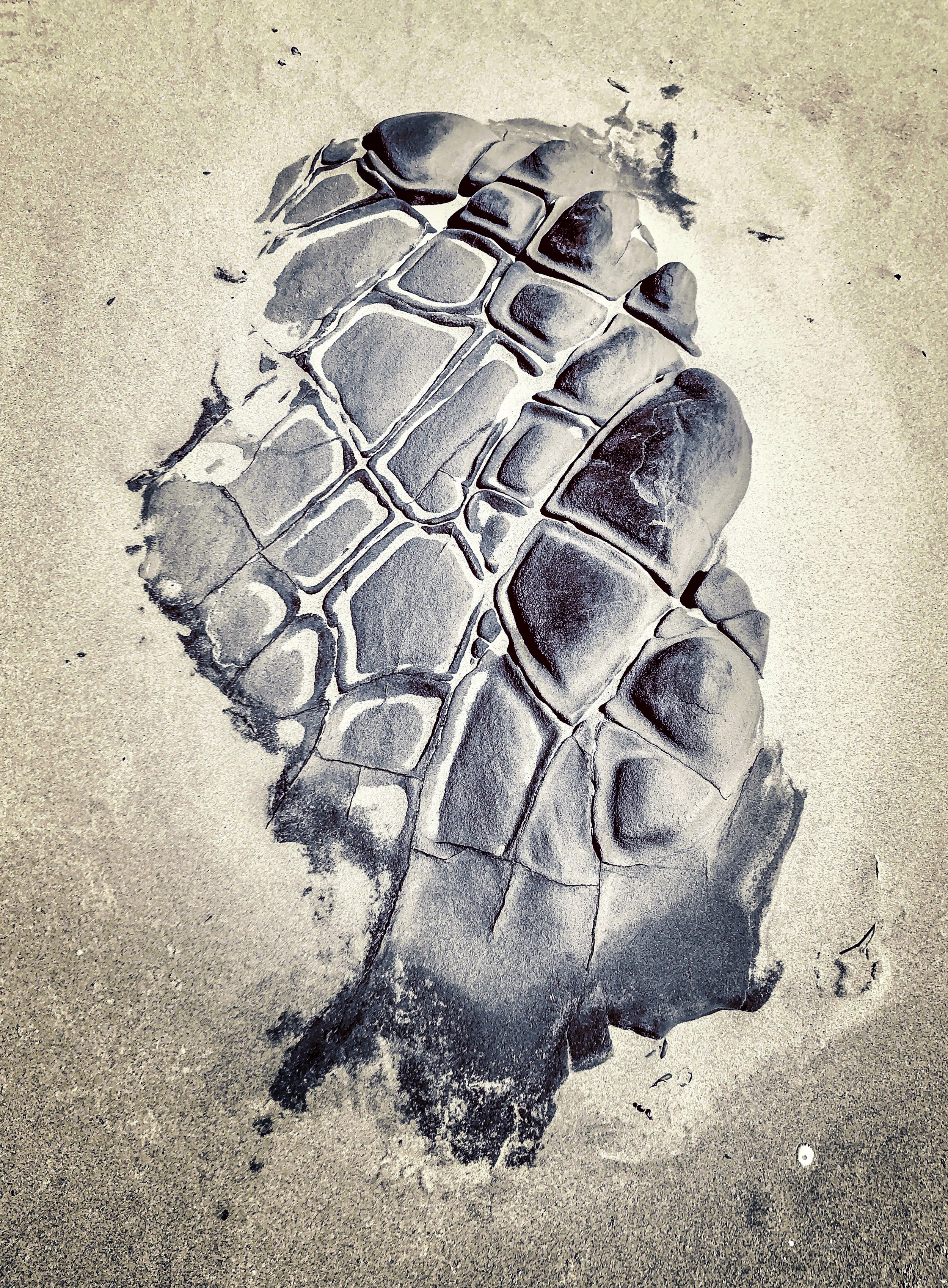 Coastal Rock