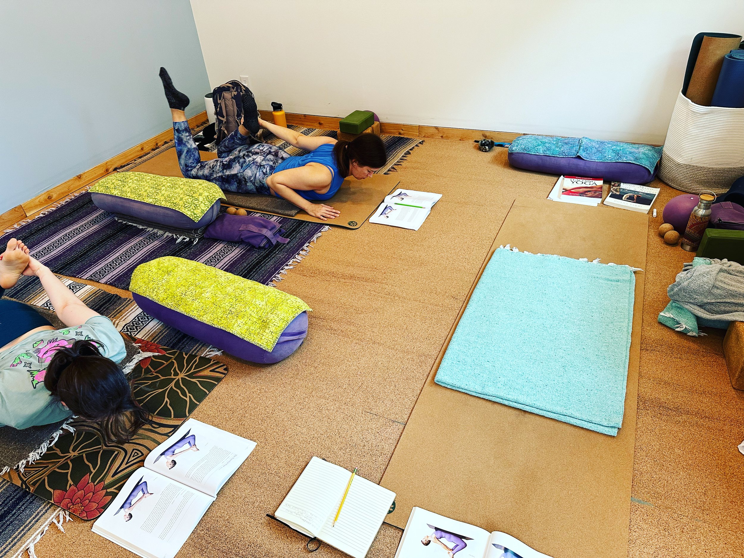 200 Hour Yoga Teacher Training, Austin Texas — The Art of Yoga School