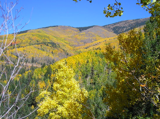 Chamisa Trail - Optional Hikes on Friday & Sunday Morning! Less than 10 min drive from our retreat house.