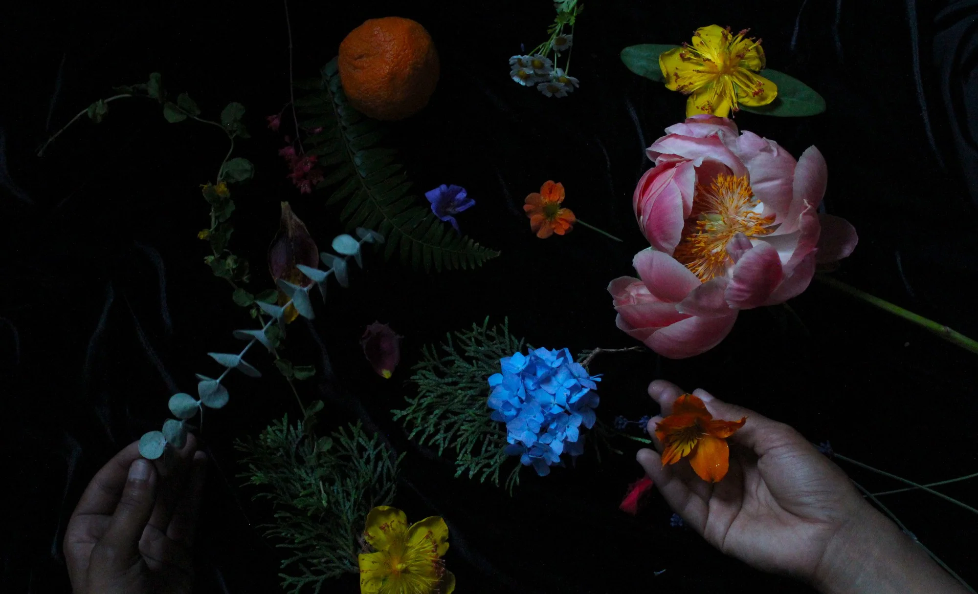 Colored Girls Black Feast Promo.jpg