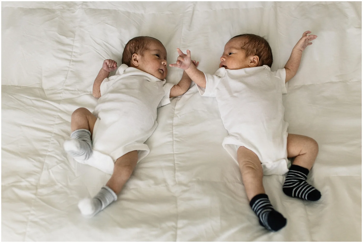 Newborn Twins Orlando Photographer.jpg