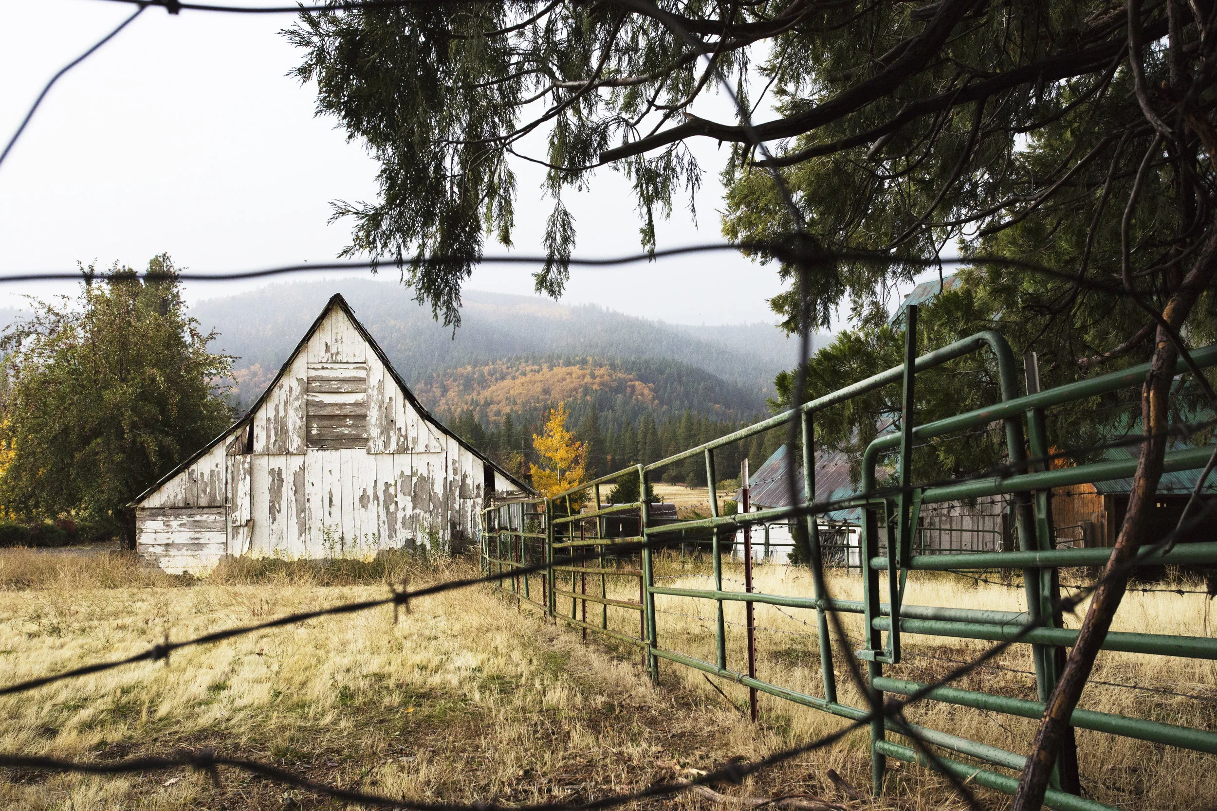 Old barn through barbed wire fence