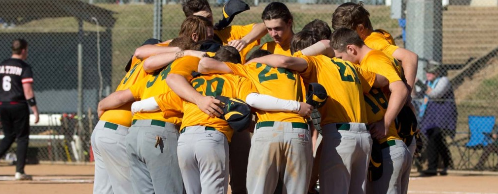 Australian Friendship Series AU gold.png