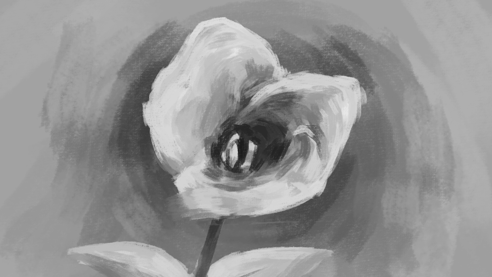 e2a11764998801.5ae5058514d31 (1).gif