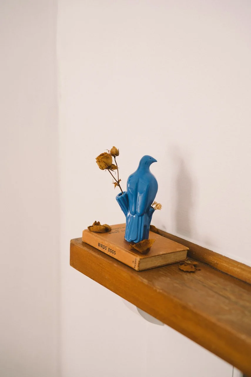 TAUS-Kereru-33-blue-2.jpg