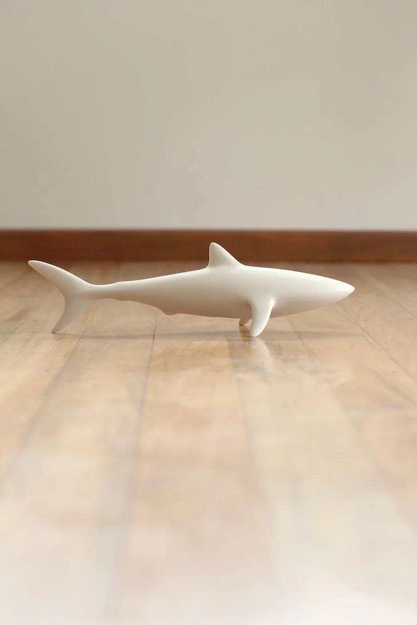 Shark - 1 (3).jpeg