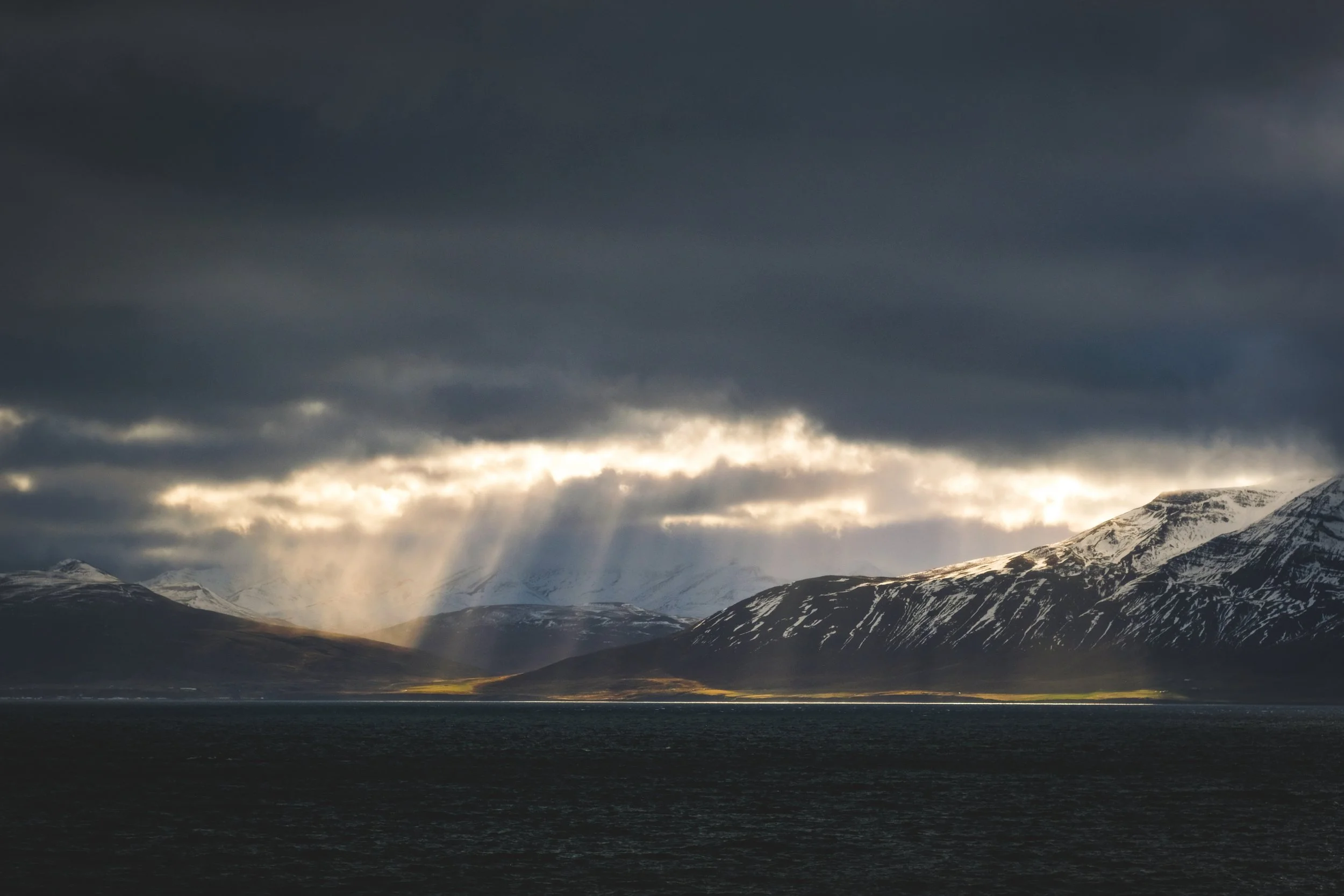 DSCF9479.jpg