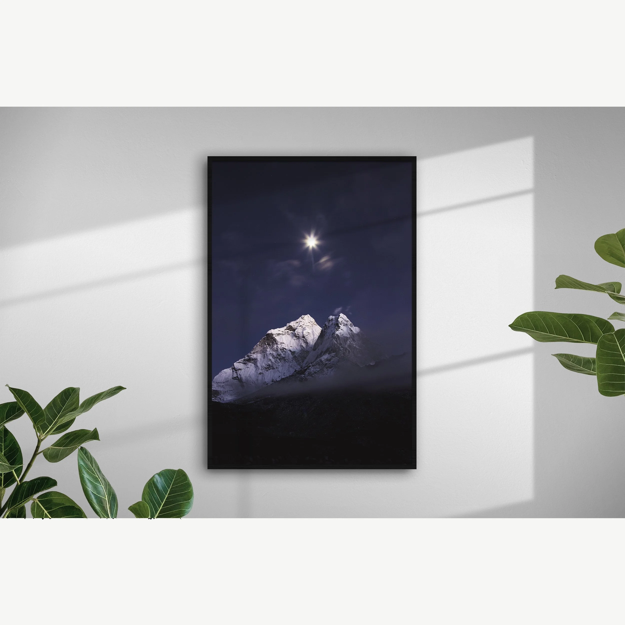 MoonageDaydream3.jpg