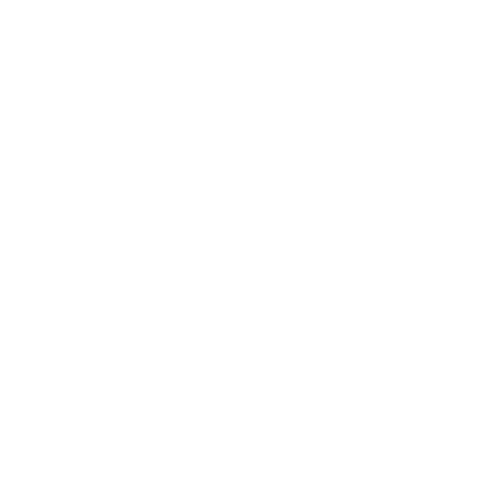 strait-narrow-logo-white copy.png
