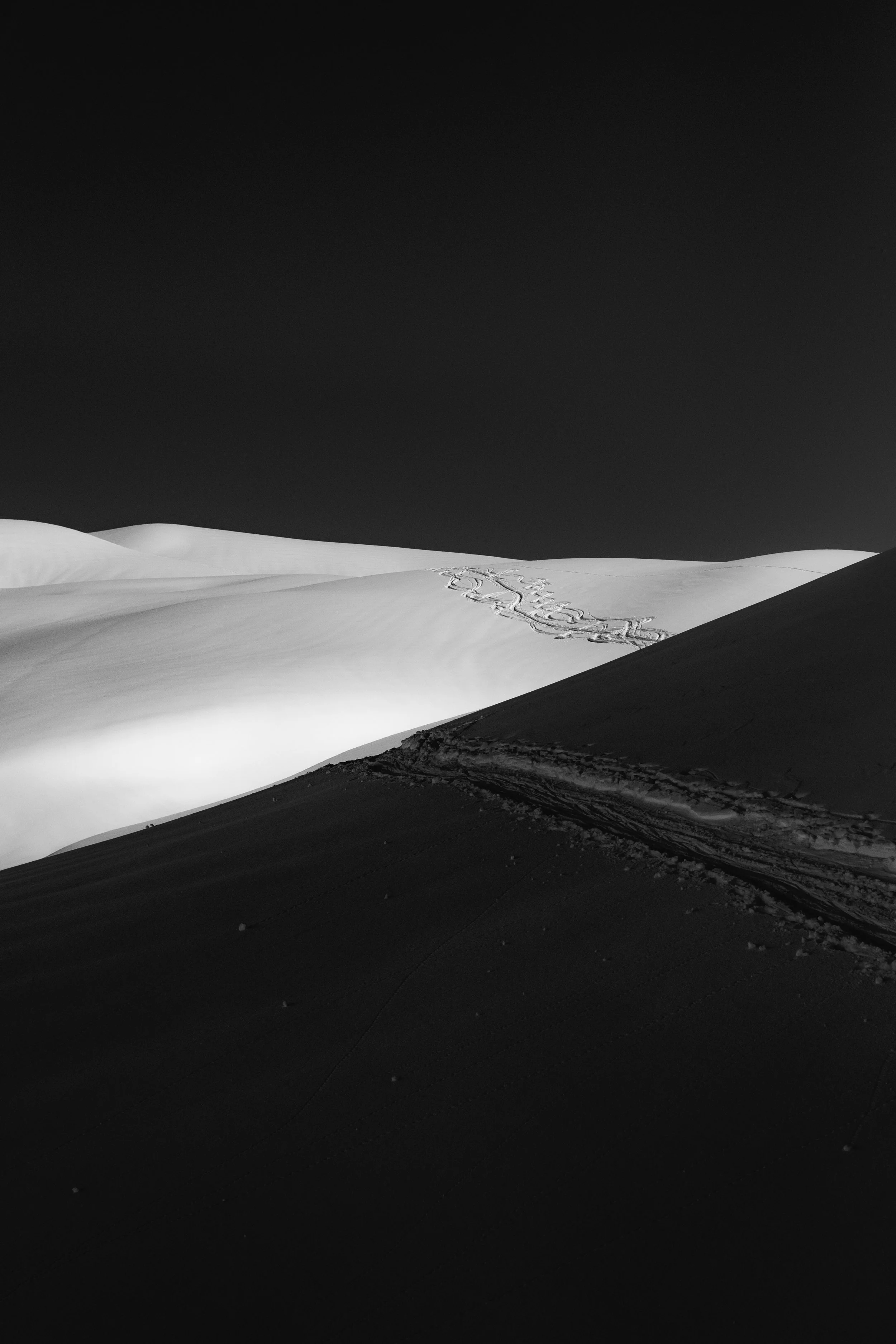 DSCF4436.jpg