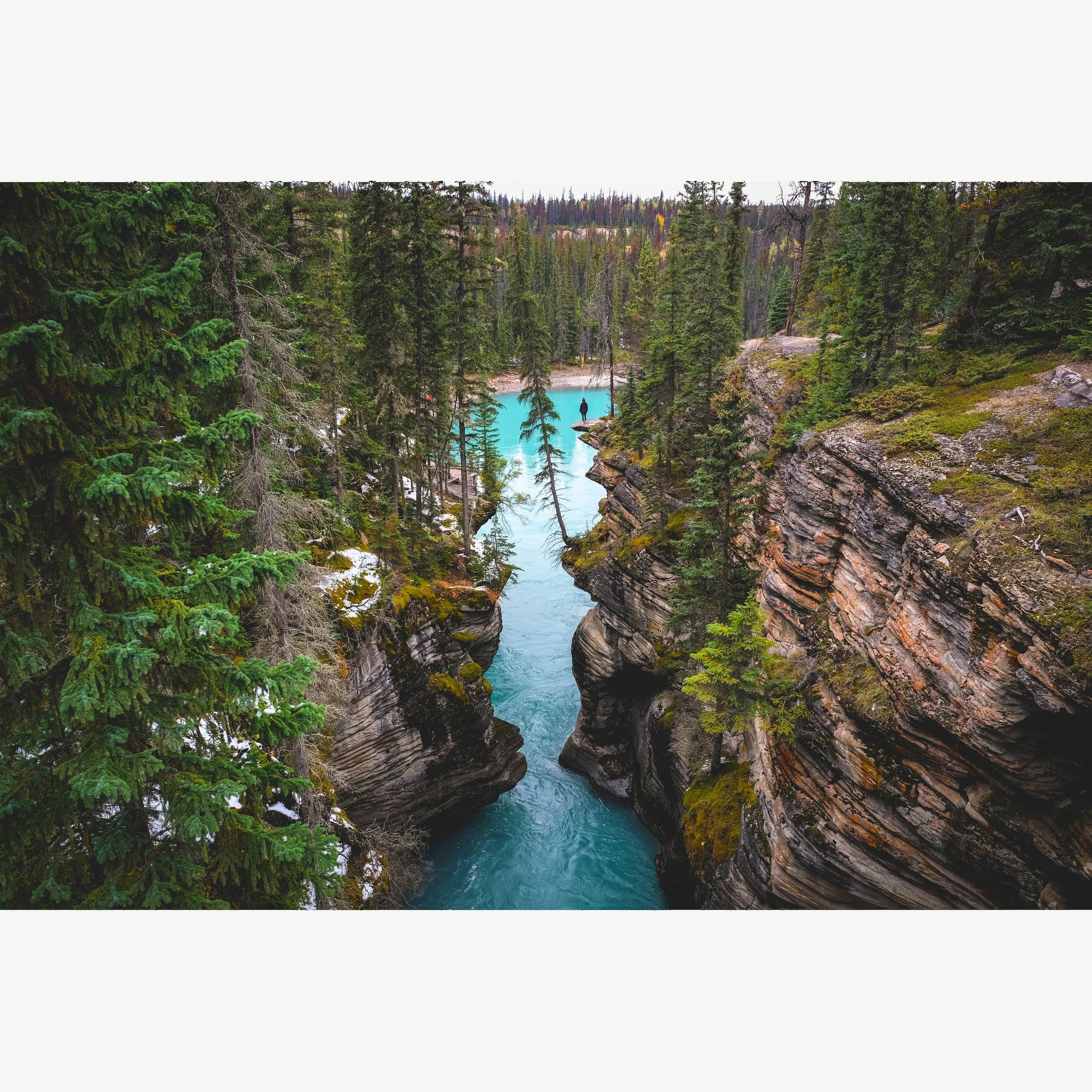 AthabascaCanyon2.jpg