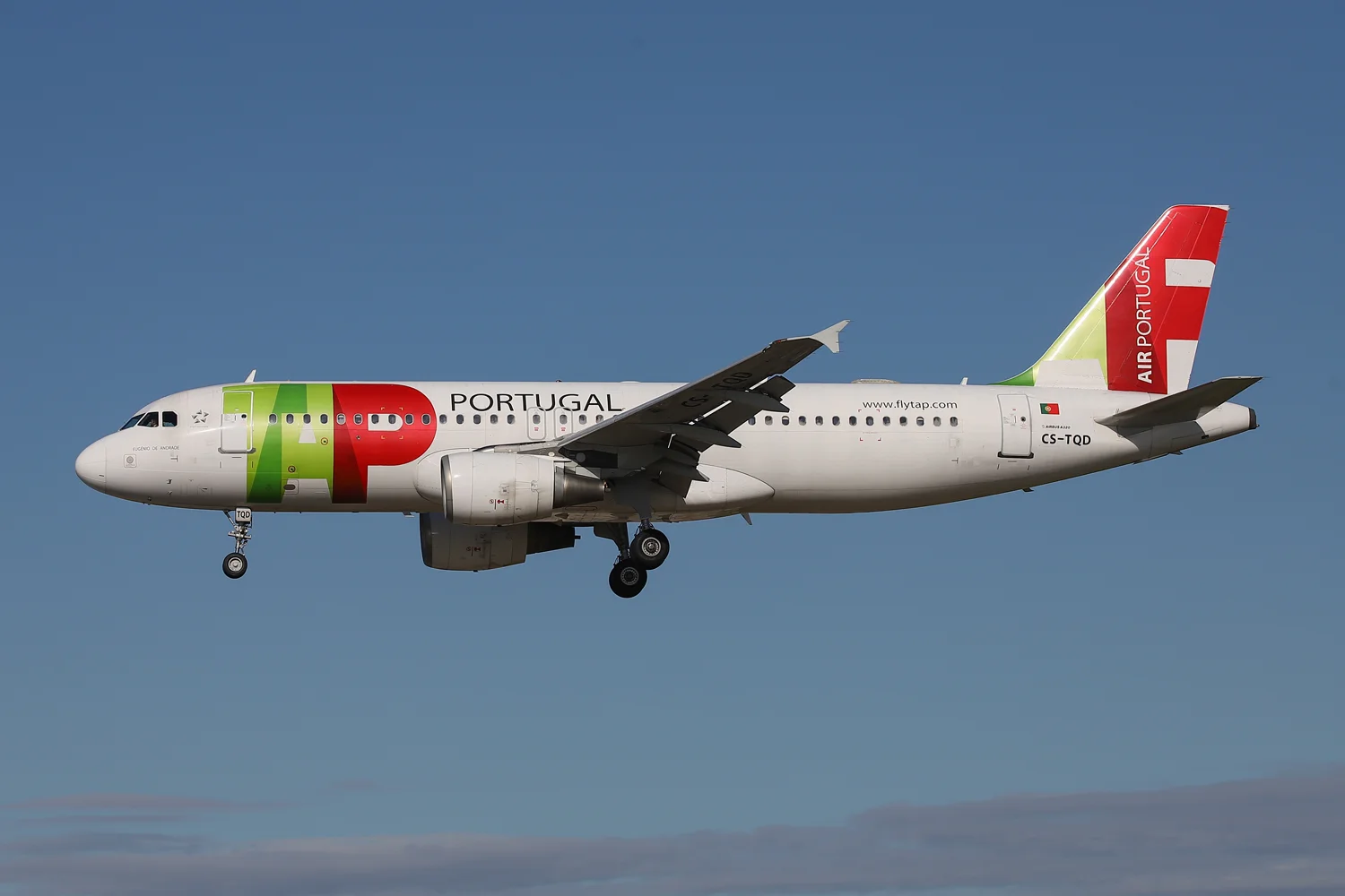 CSTQDLR-2178-1500PX.jpg