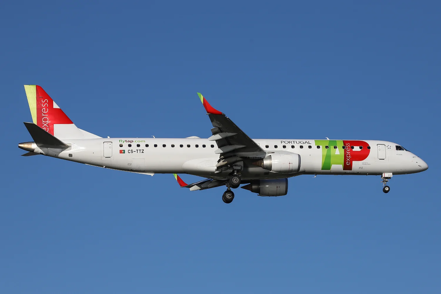 CSTTZLR-1871-1500PX.jpg