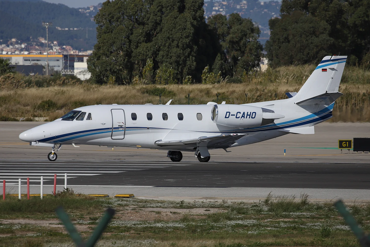 DCAHOLR-1445-1500PX.jpg