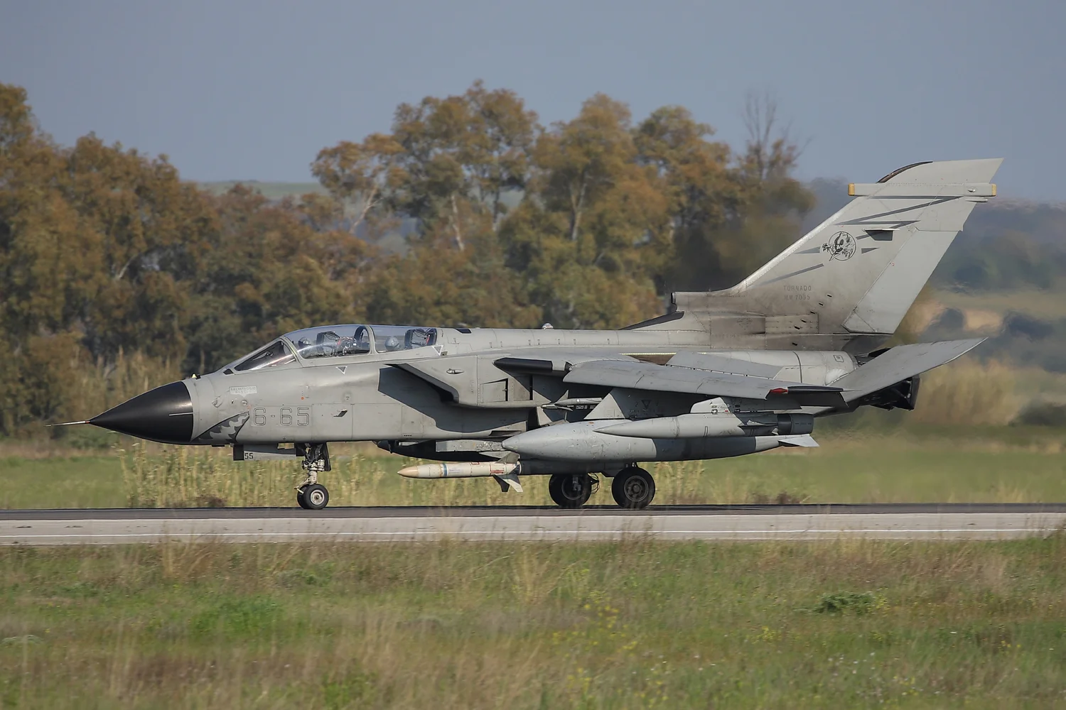 TORN665-LRPS-5260-1500PX.jpg