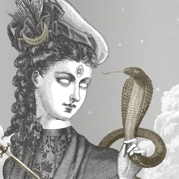 SNAKECHARMER FINAL.jpg