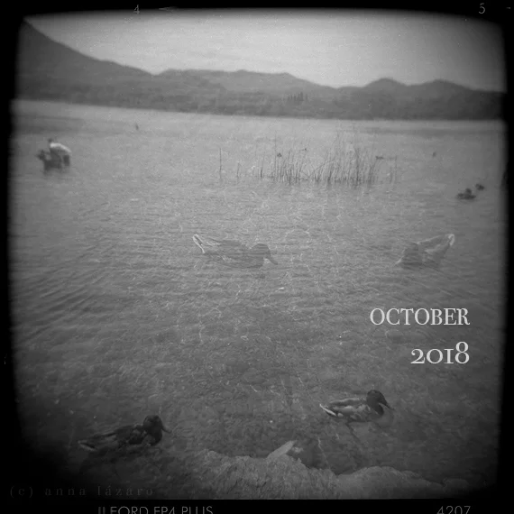 TEST MOODS THUMB.jpg