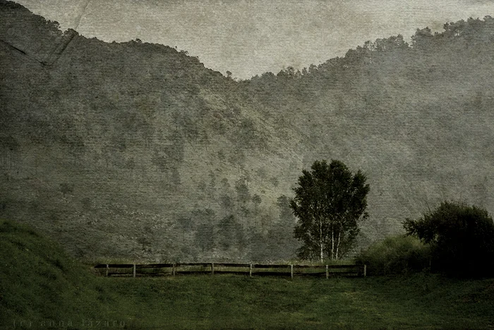 slumber in the evening