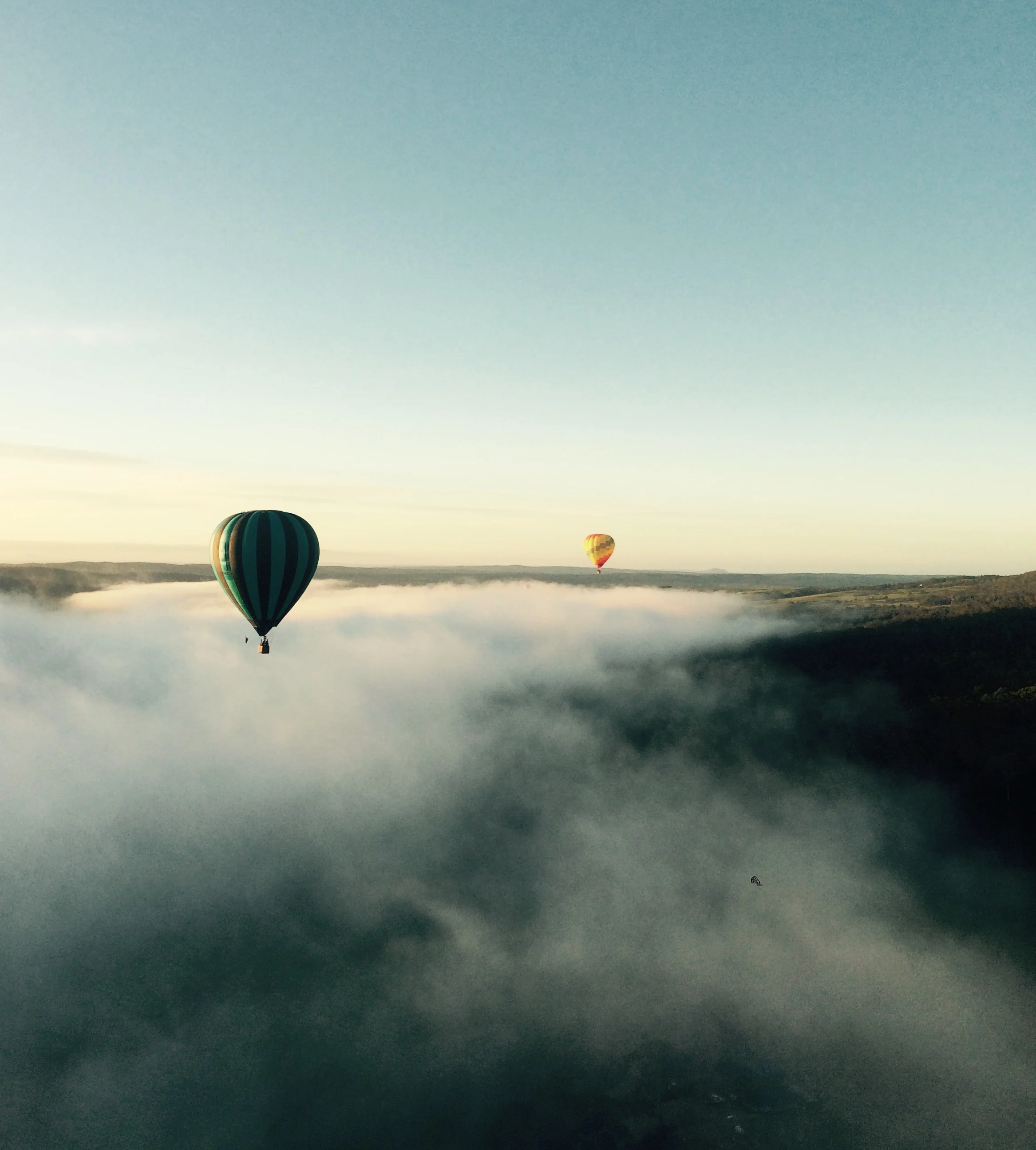 Image Credit: Josie White