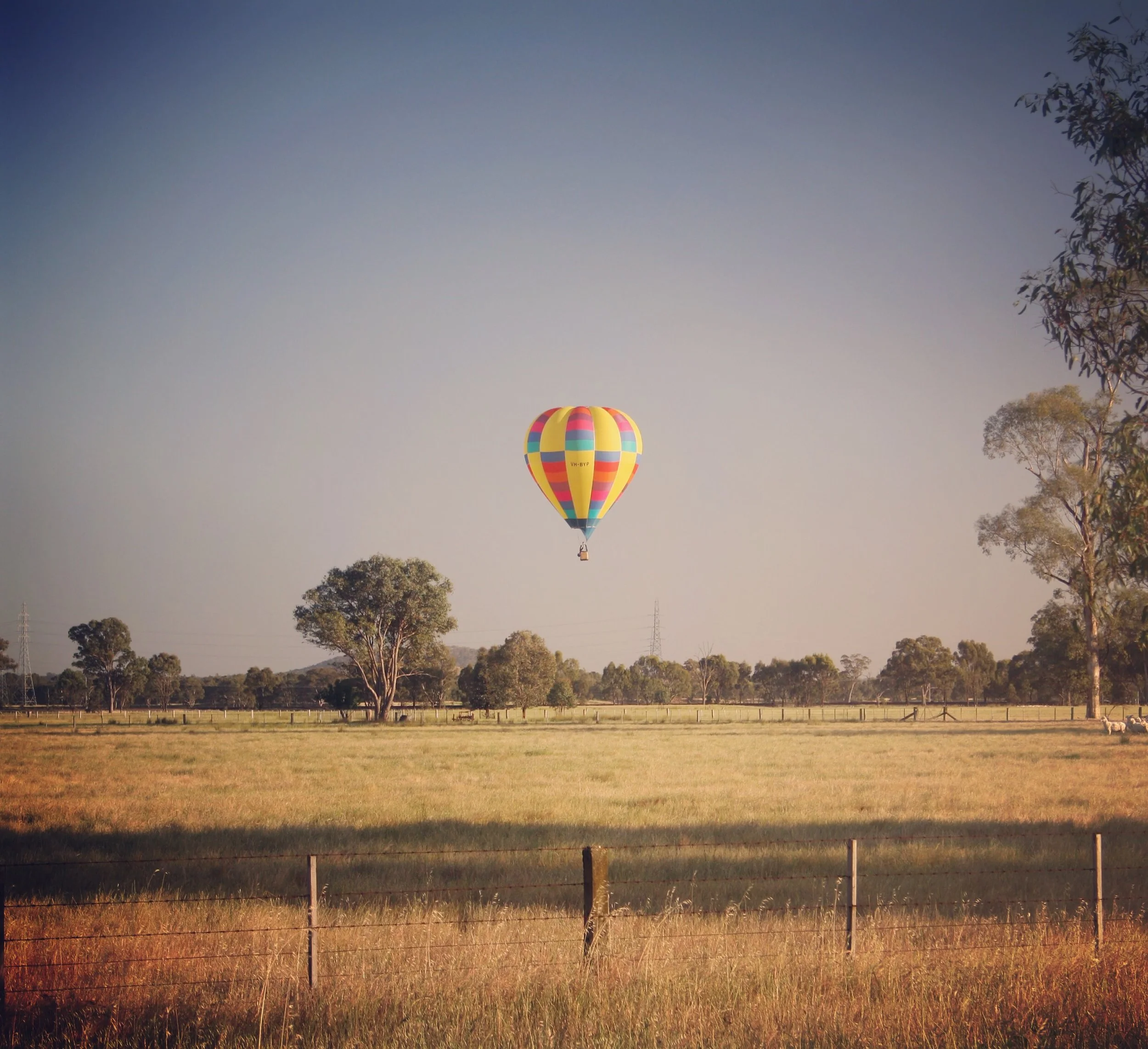 Image Credit: Chris Brown