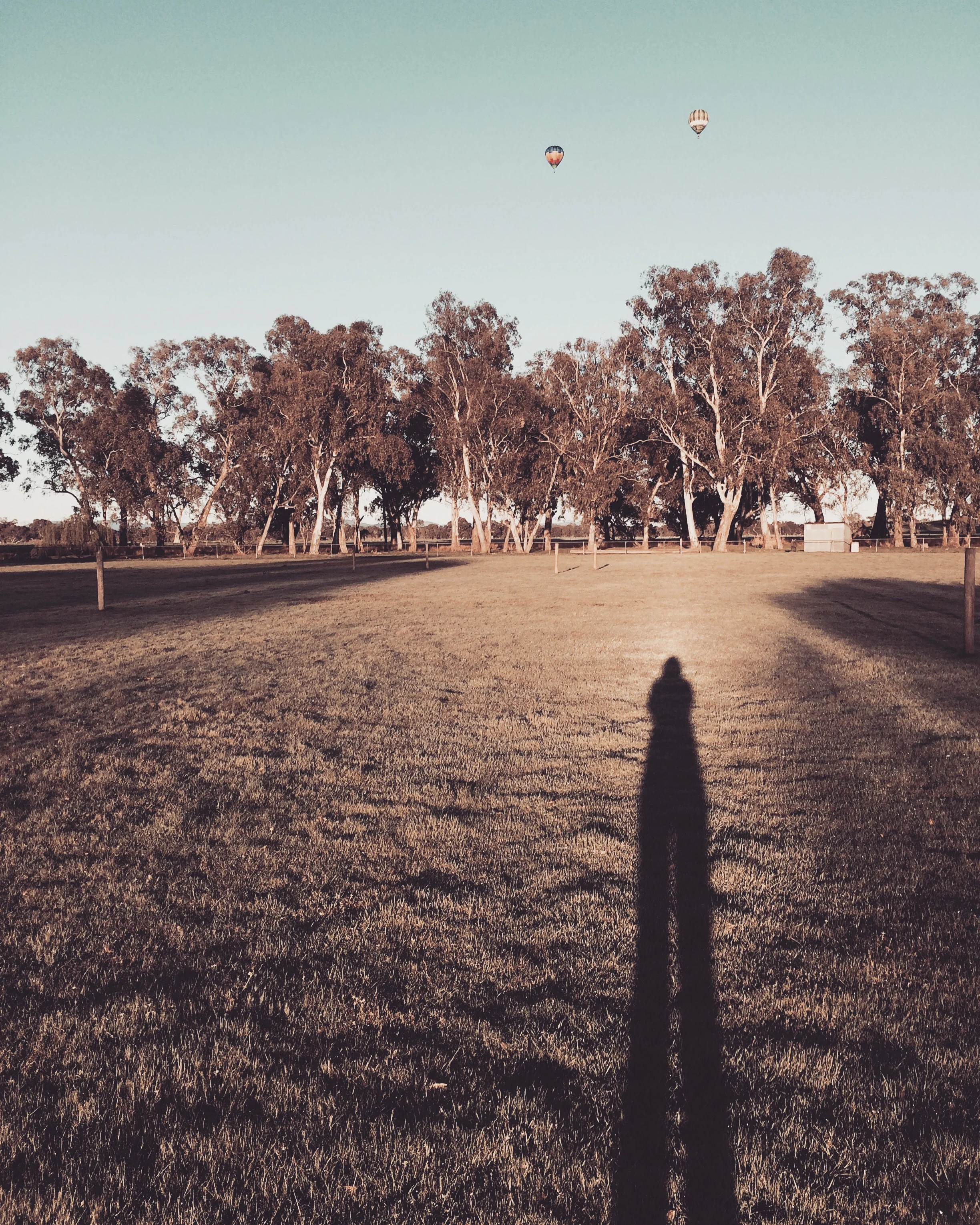 Image Credit: Josie White