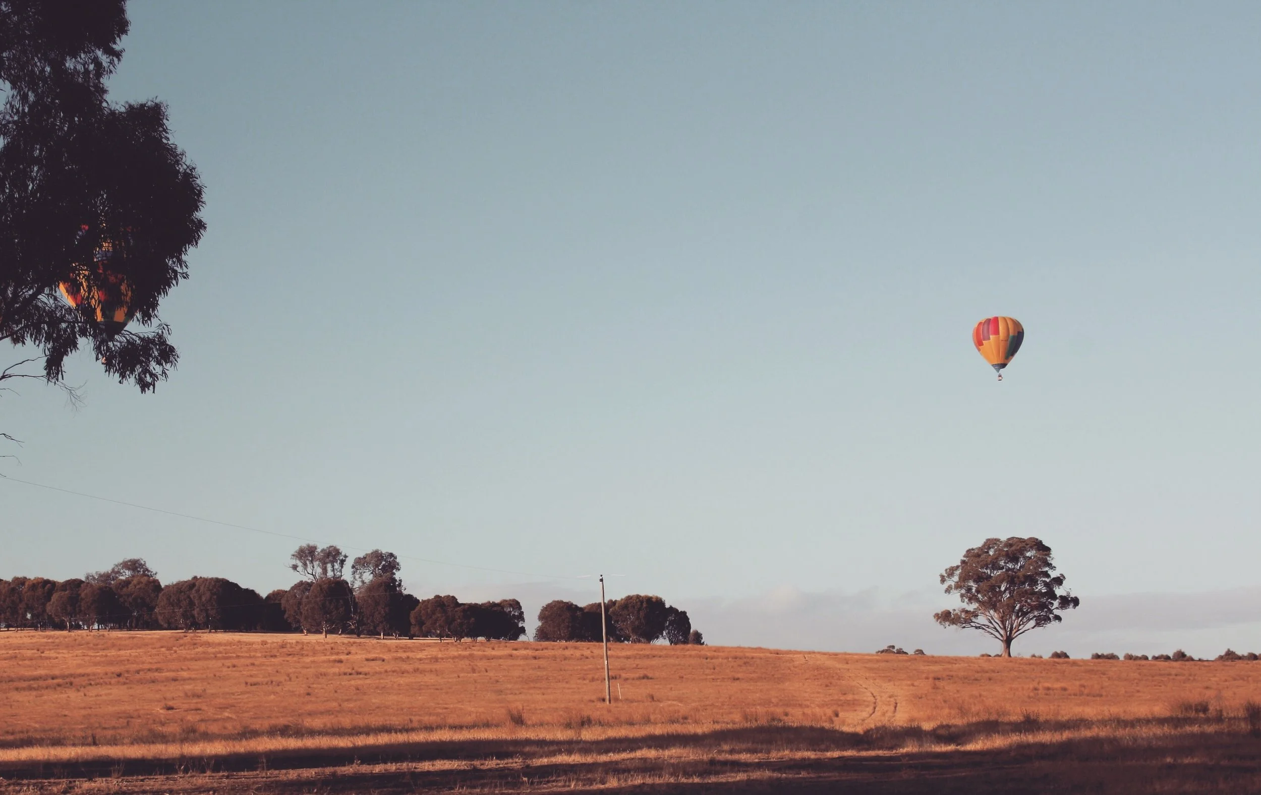 Image Credit: Chris Brown