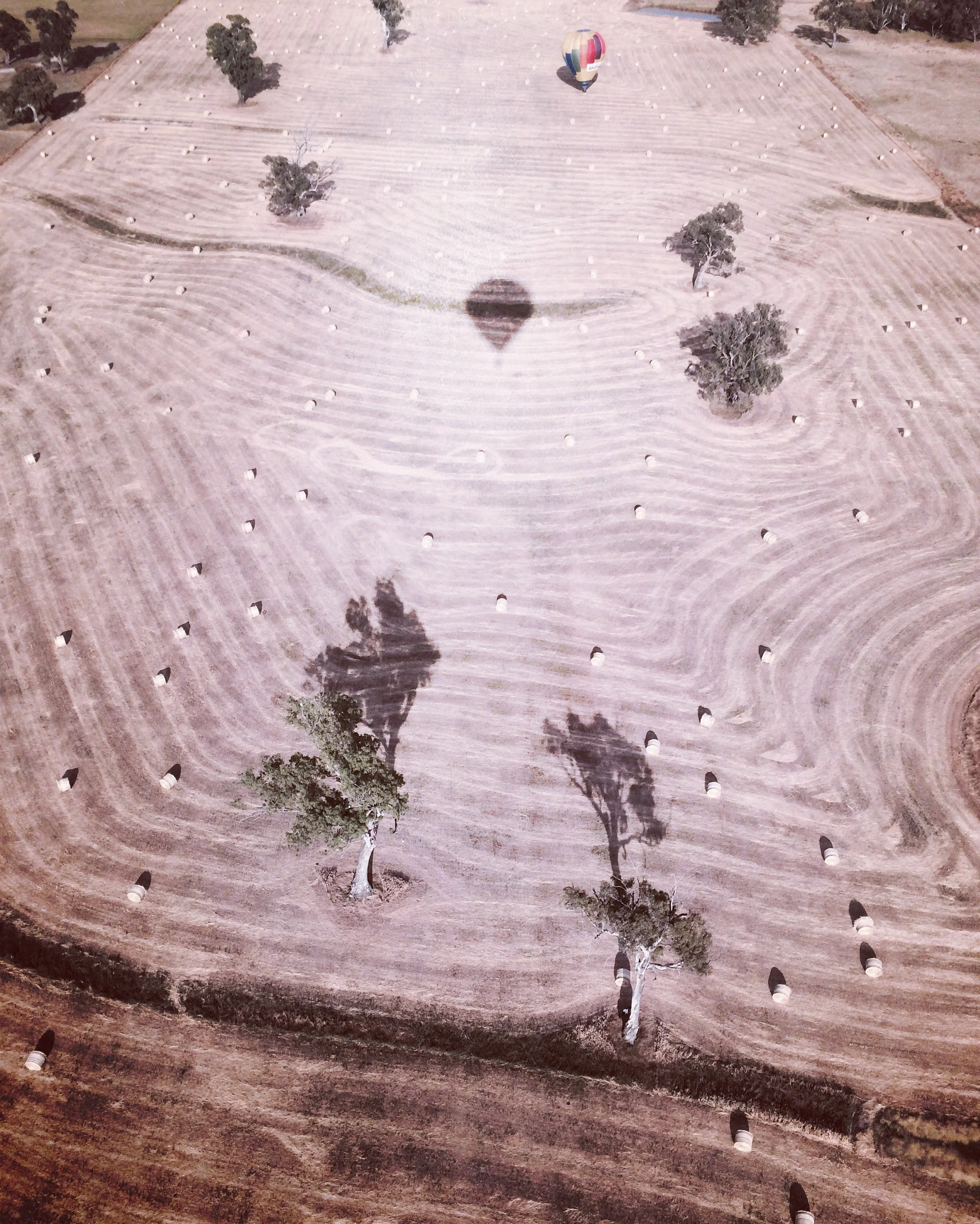 Image Credit: Josie White