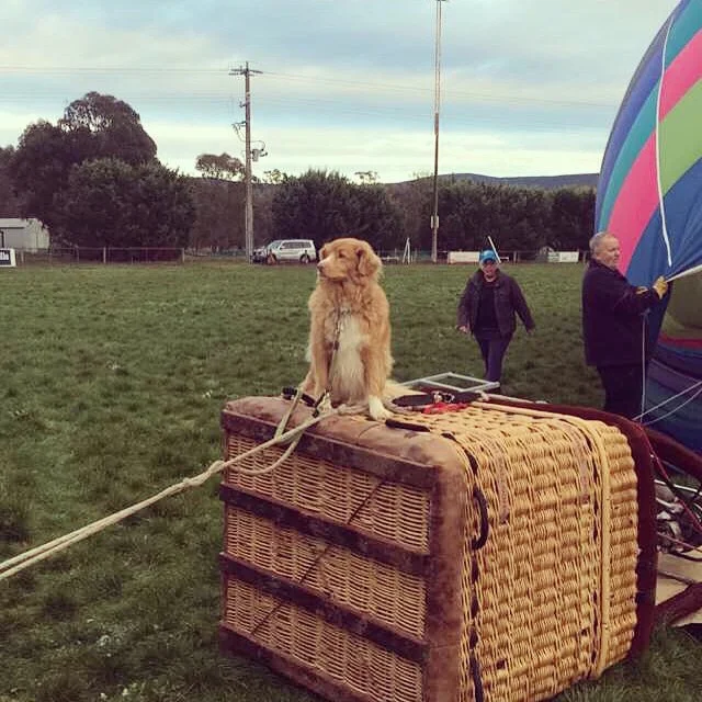 Image Credit: Lu Michell