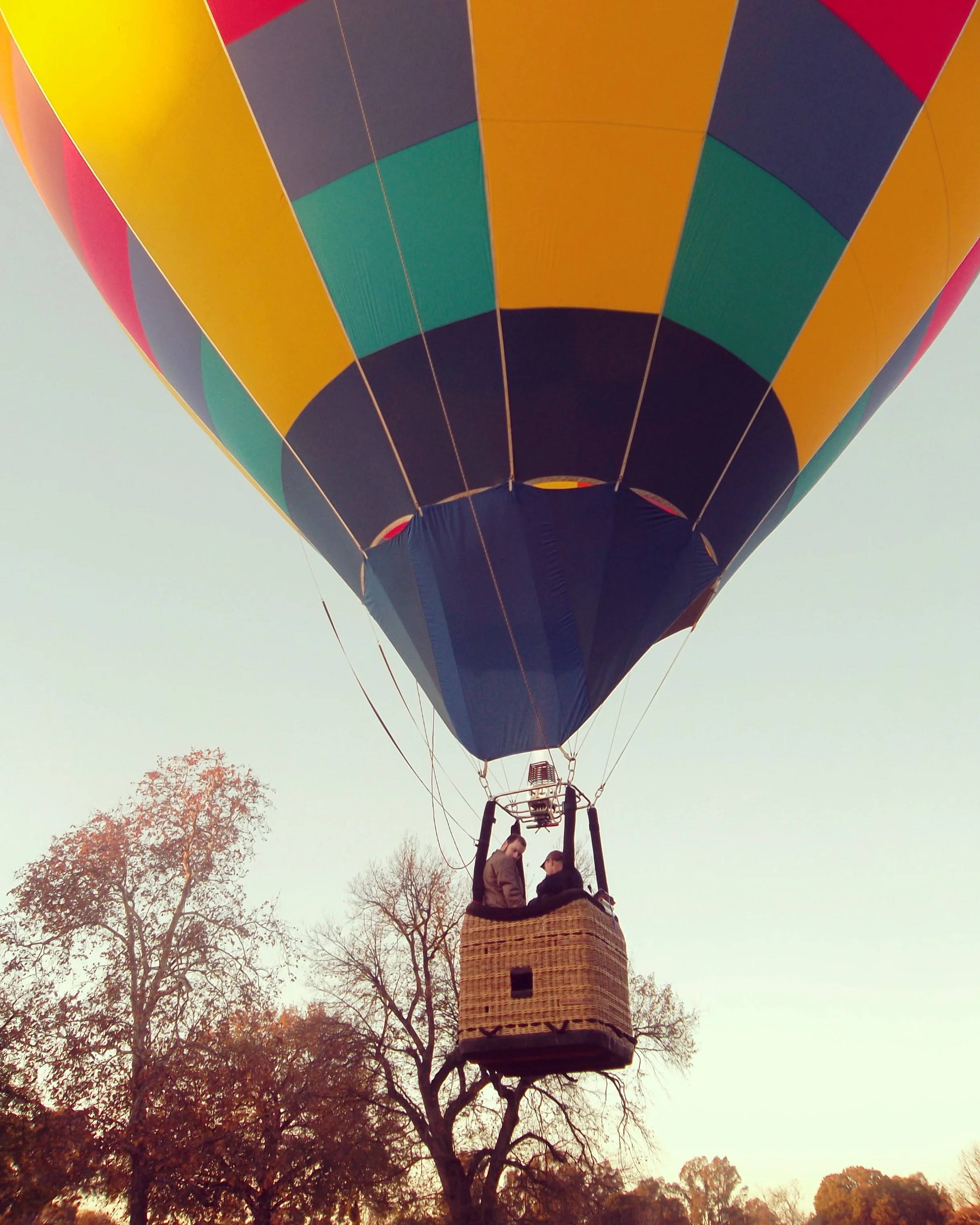 Image Credit: Lu Michell