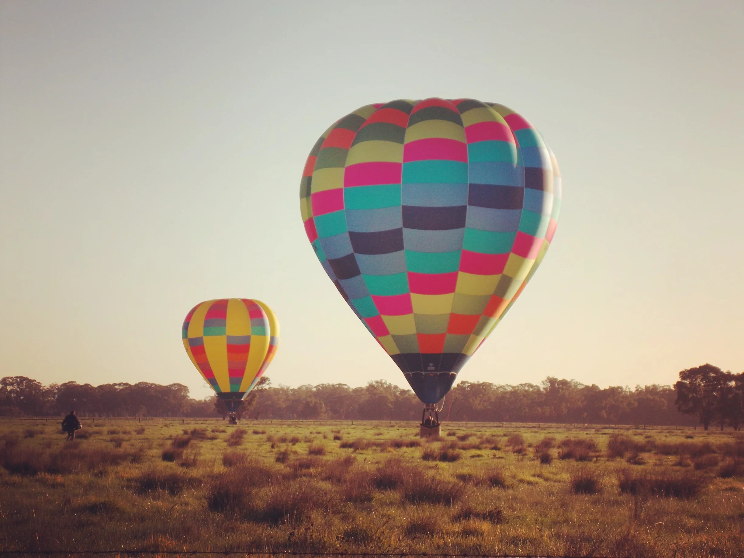 Image Credit: Chris Brown