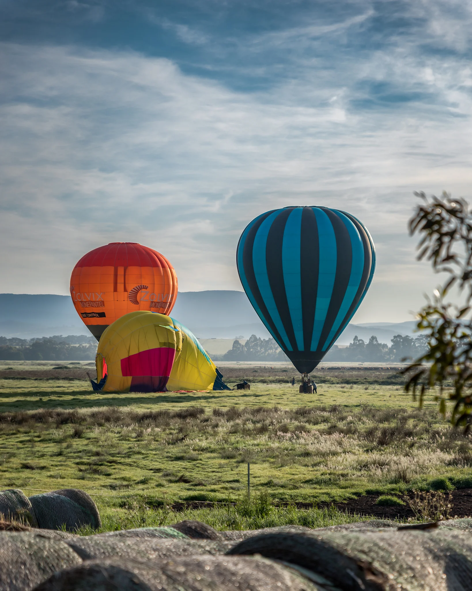 Image Credit: Paul Tadday