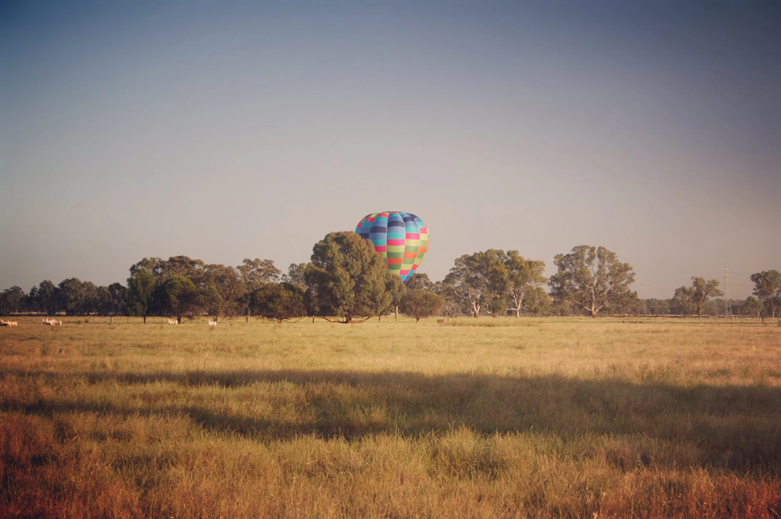 Image Credit: Chris Brown