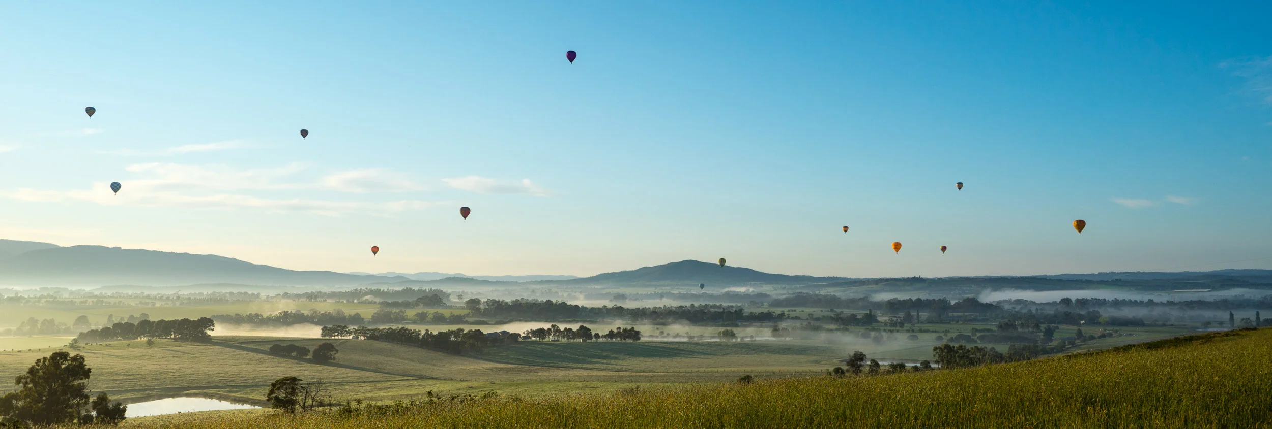 Image Credit: Dion Chapman