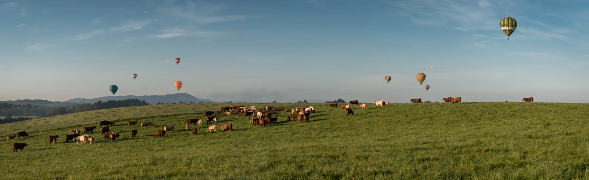 Image Credit: Paul Tadday