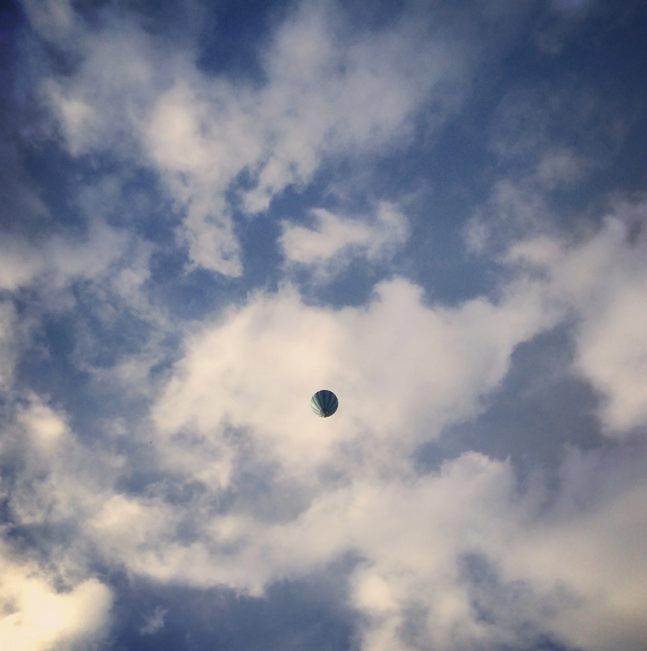 Image Credit: Josie White