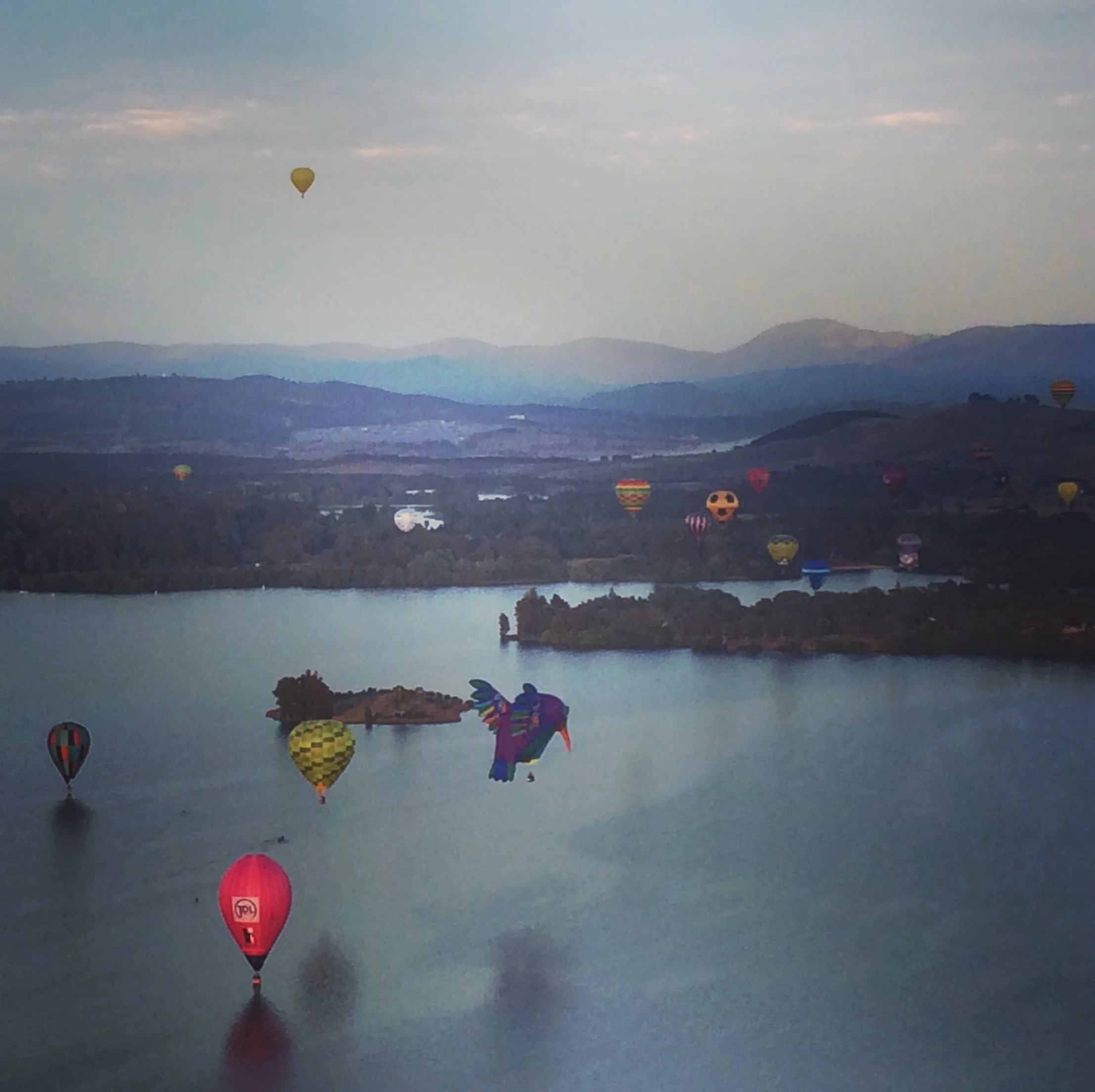 Image Credit: Josie White