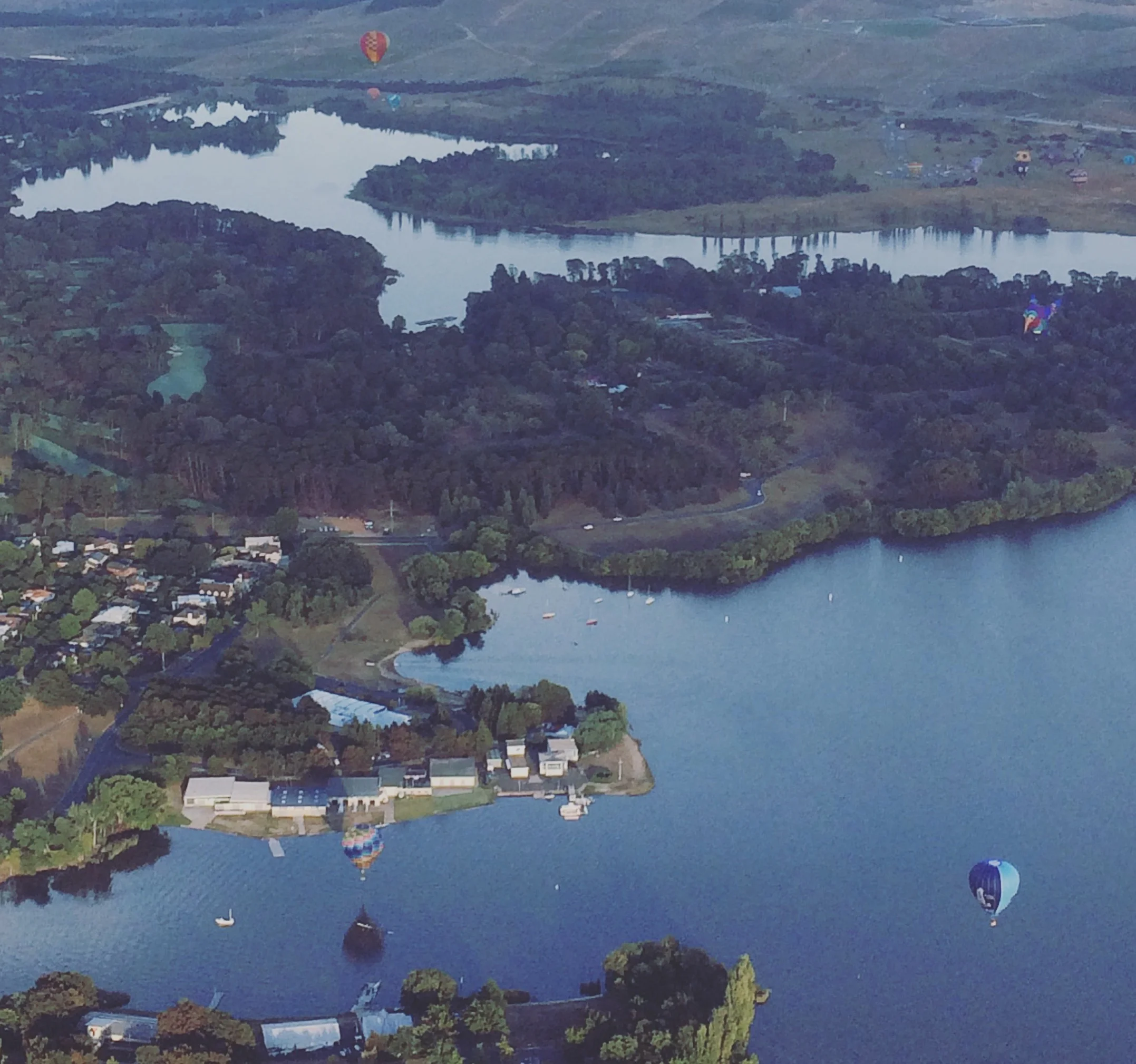 Image Credit: Josie White