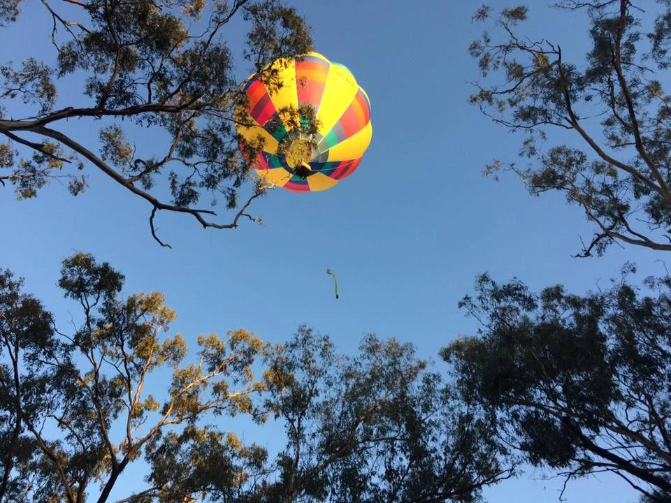 Image Credit: Lu Michell